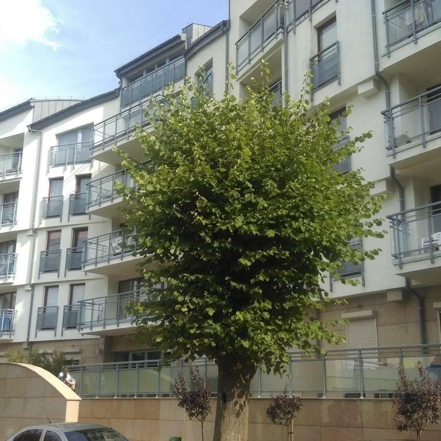 Apartament Flauta, Villa Marea Мендзиздрое Екстериор снимка